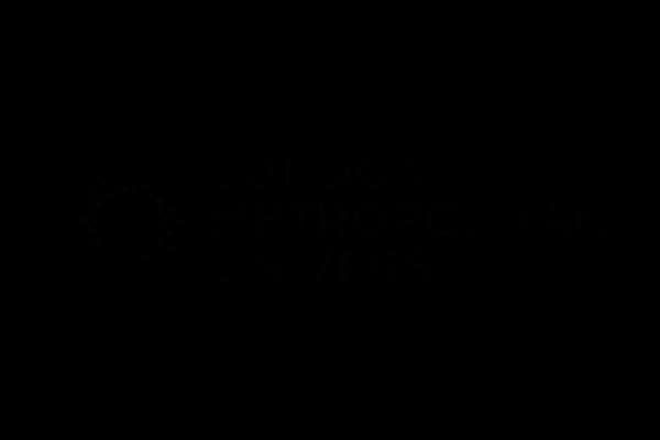 university logo image